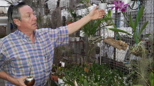 Especialista de la UNNE difunde su técnica de cultivo in vitro de orquídeas en México y Cuba