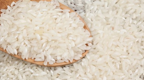 Apertura oficial de la cosecha de arroz 2017