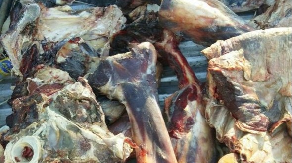 En operativo decomisan más de 650 kg de distintos tipos de carne en Itatí