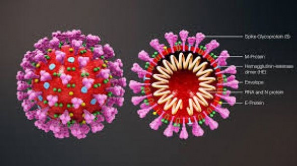 Quinta muerte por coronavirus en Argentina