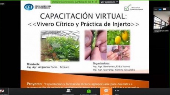 Capacitación virtual para EFAs y Agrotécnicas sobre “Vivero Cítrico y Práctica de Injerto”