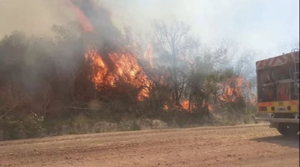 Ardió el Iberá: investigan la quema de 600 hectáreas y los bomberos hacen guardia