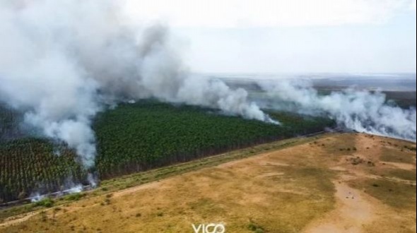 El fuego afectó 1.000 hectáreas en Paso de los Libres y las llamas avanzan en Esquina
