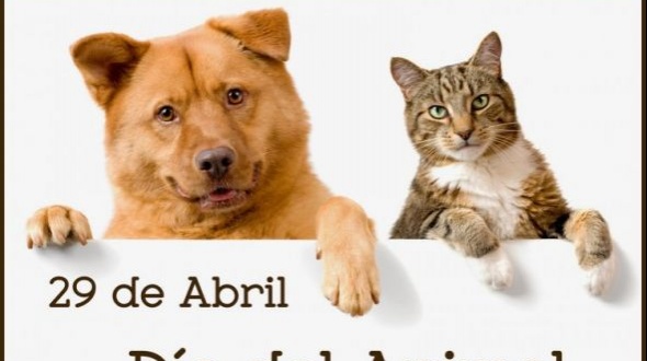 ¿Por qué se celebra el 29 de abril el Día del Animal en Argentina?