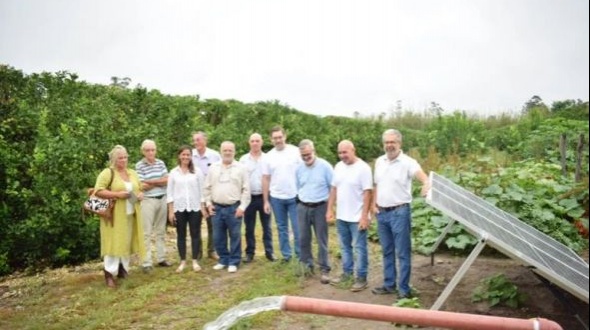Productores citrícolas regarán sus plantaciones con energía solar