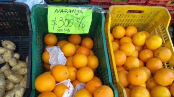 Corrientes denuncia que Nación importa naranjas en perjuicio de productores locales