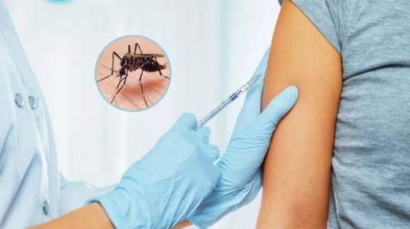 Anmat aprobó la vacuna contra el dengue: cuándo llegará al país