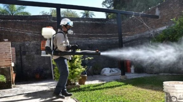 Dengue: oficialmente reconocen récord de casos y piden extremar la prevención
