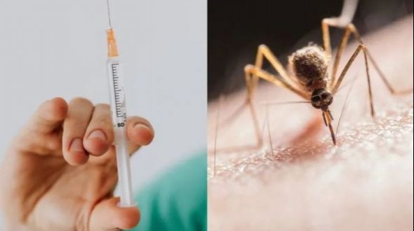 Gustavo Valdés informó cuándo llegarán las primeras vacunas contra el dengue y cómo serán aplicadas